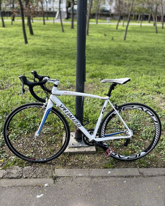 Cursiera Specialized