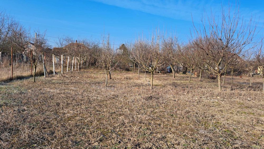 De vânzare loc de casă – Sat Niuved, Comuna Tămășeu