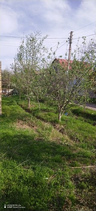 Продаётся дача Ташморе