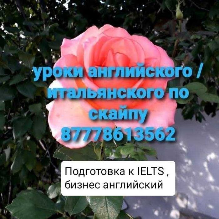 Английский / итальянский