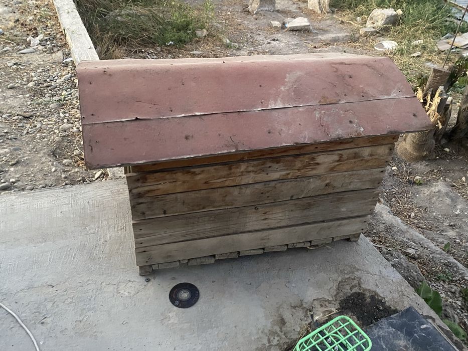 будка для сабаки