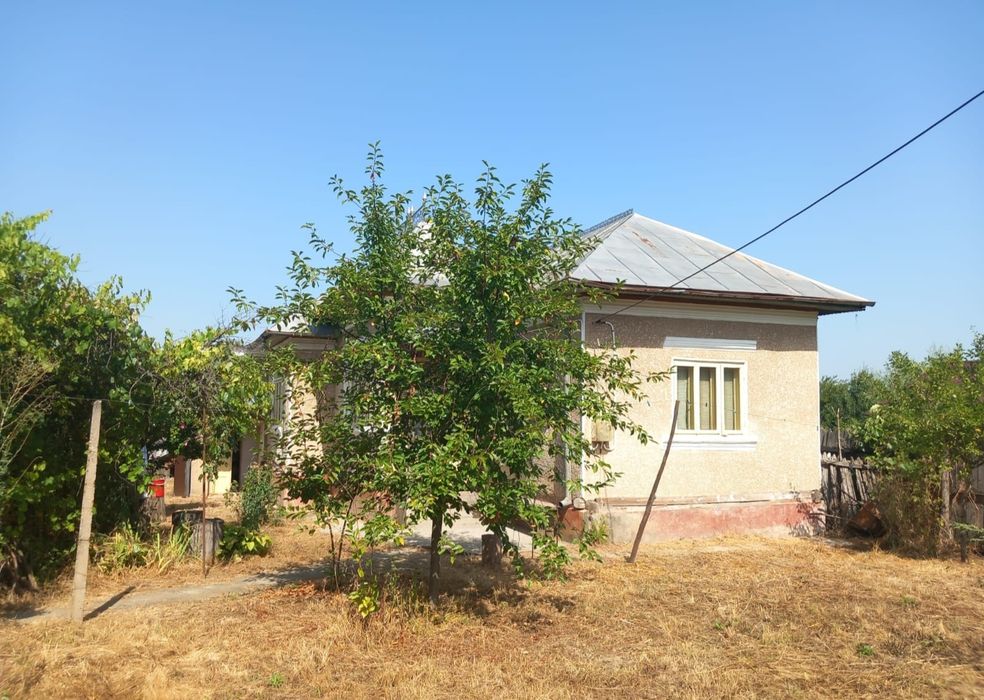 Vând casă în comuna Măciuca + terenuri extravilan!