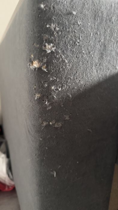 Раскладной диван с местом хранения