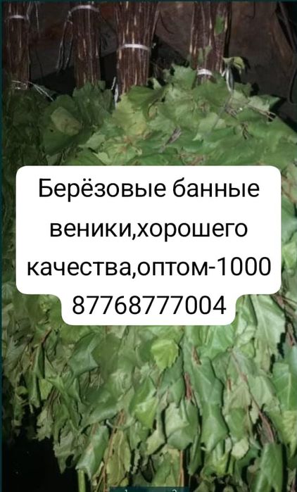 Продам банные веники берёзовые