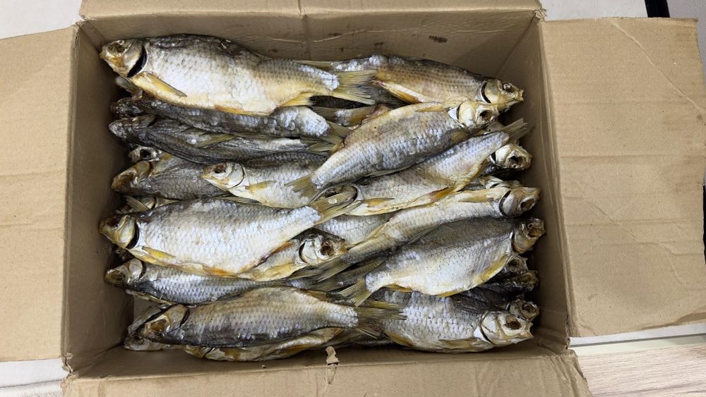 Вобла Каспийская (Атырау)