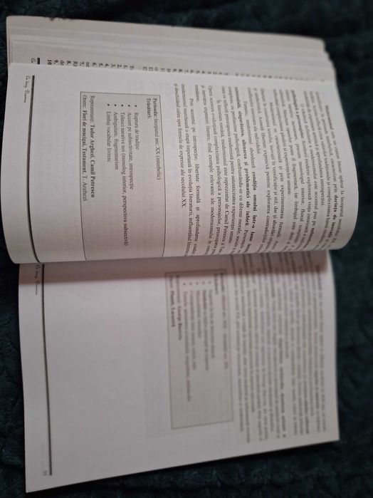 Titularizare și definitivat - învățători/ primar - eseuri și teste