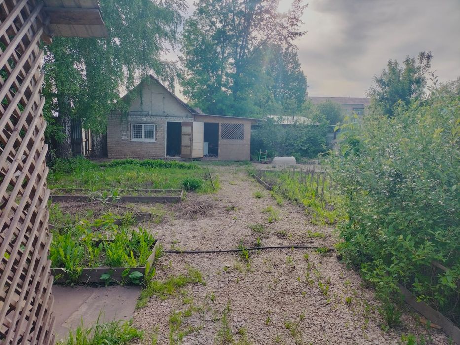 Продам дачу с насаждениями