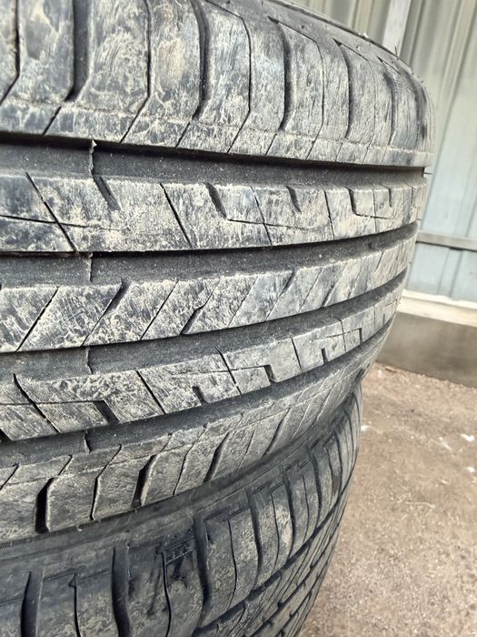 195/55/16 летняя резина
