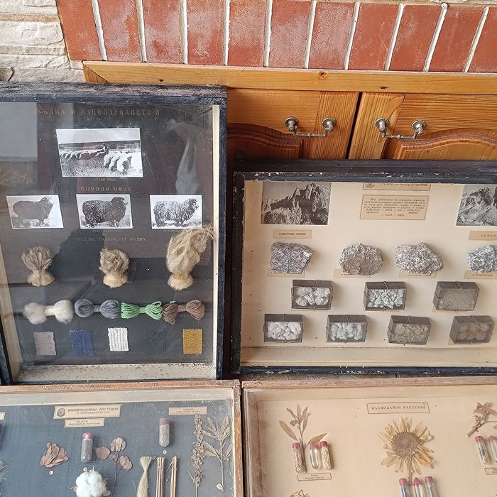 Учебни модели по Биология и география в дървена рамка със стъкло