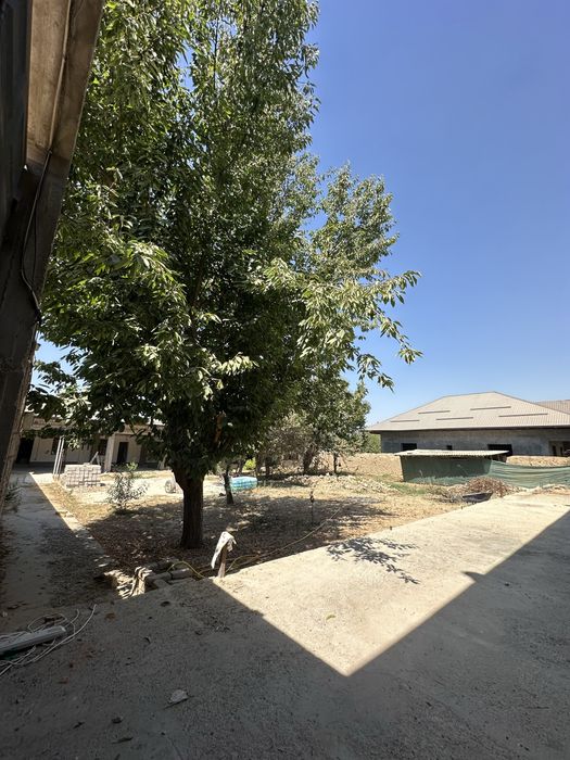 Ҳовлимни сотаман! 10 соток, Чаманзор