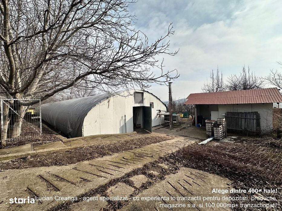 Hala/ cort ciupercarie, crestere pui, 400mp, Dumesti