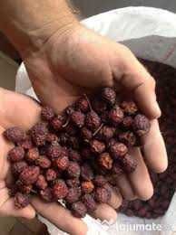 Macese uscate natural la soare,din zone curate,45 lei/kg