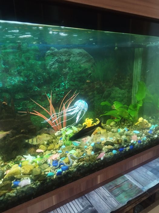 Аквариум 250-300 литров