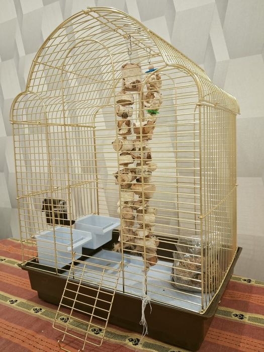 Клетка для попугая