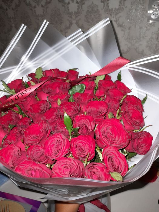 Цветы 51 роза свежие