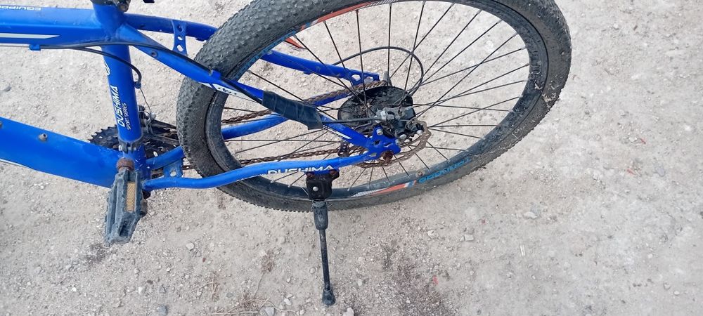 Велик DUSHIMA500