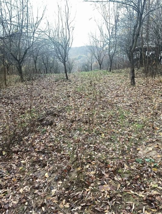 Vind teren in Vălenii de Munte