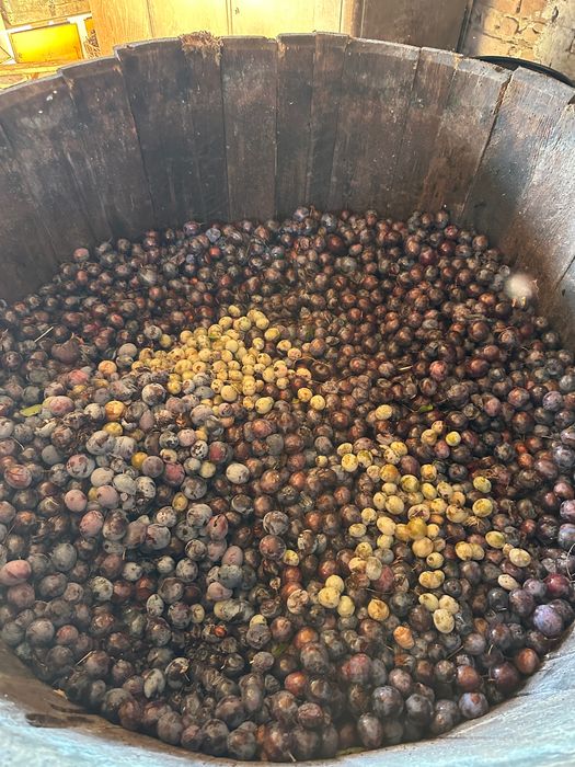 Vând prune  foarte bune la Voj