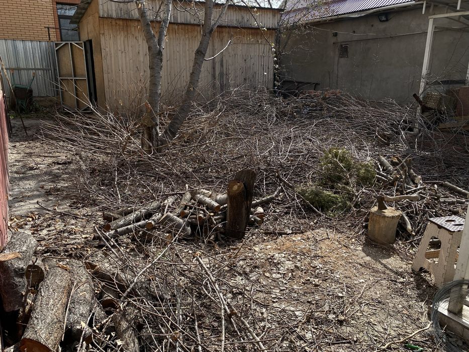 Хворост, фруктовые деревья