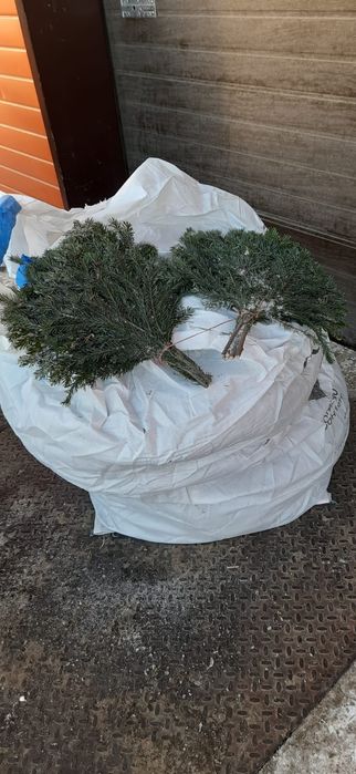 Продам веники банные пихтовые