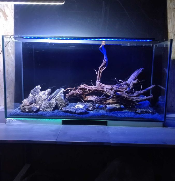 Аквариум с дизайном