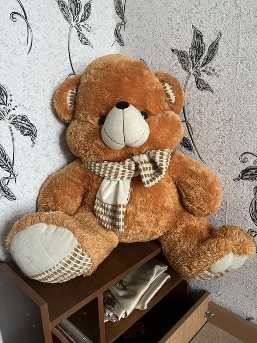 Продам медведя