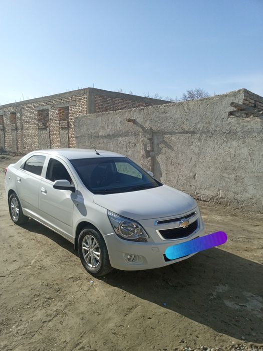 Коболт евро 2022