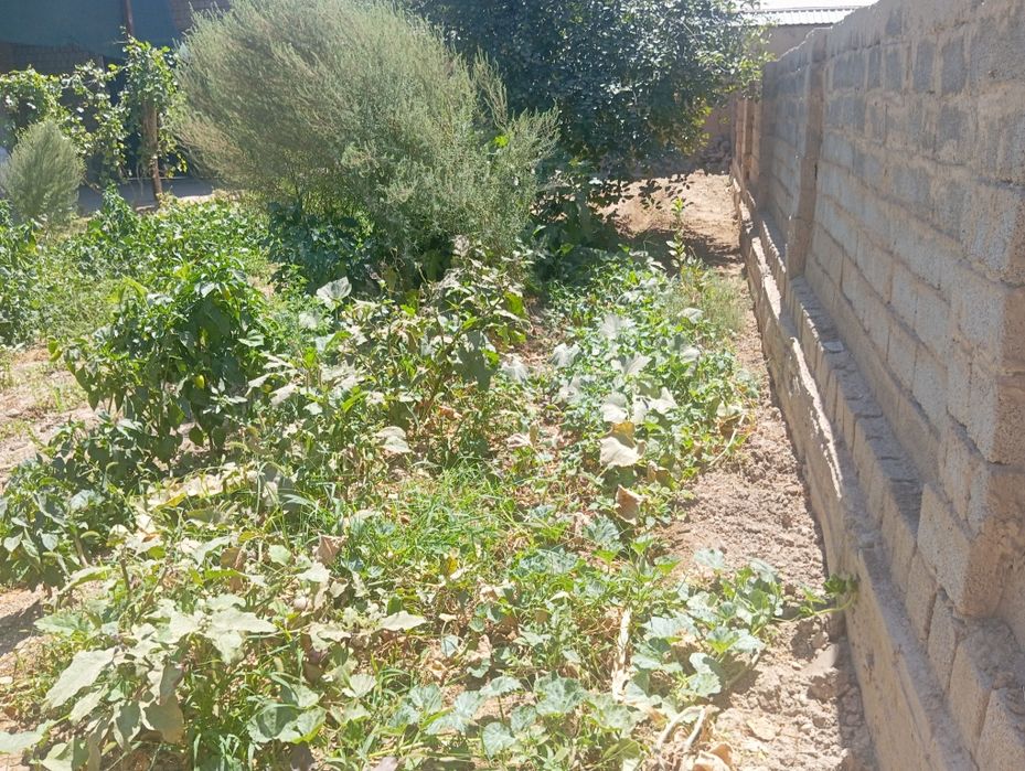 1 сотиги 12000$ 3 сотик яна келишамиз