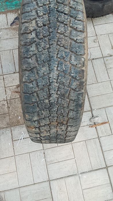 Продам 2 болона целые