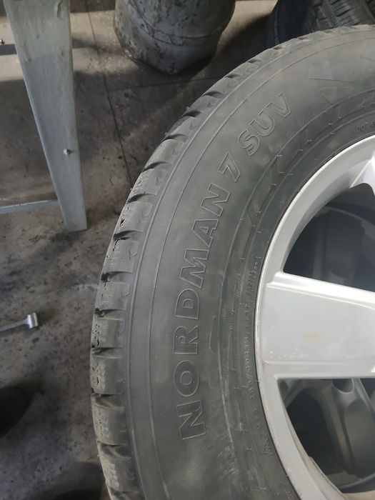 Шины зимний нокиан