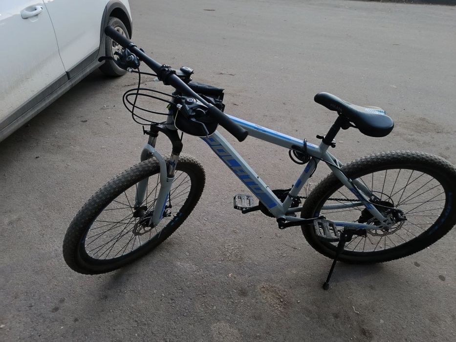 Велик горный Polato