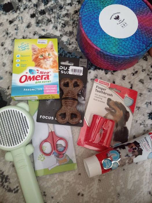 ОТДАМ ДАРОМ своего кота