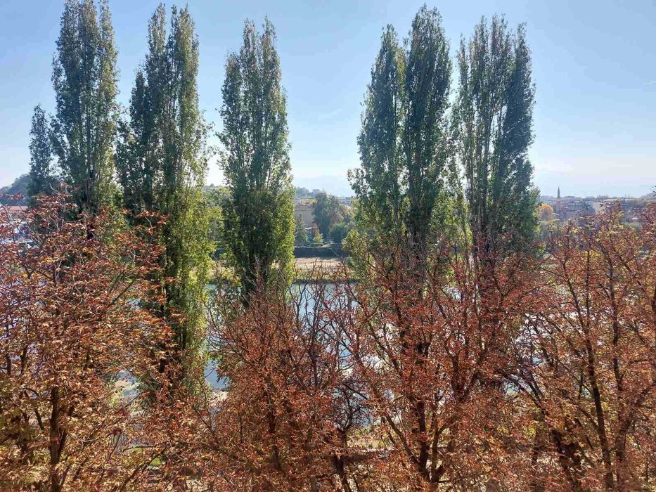 Продава се Многостаен апартамент в Пловдив, Кършияка - 220 кв.м за 1136 €/кв.м - Снимка #14