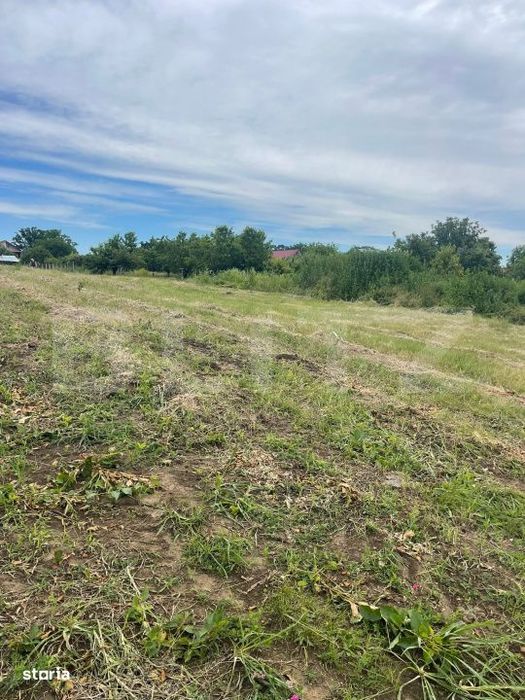 Teren 500 mp intravilan Valea Ursului-