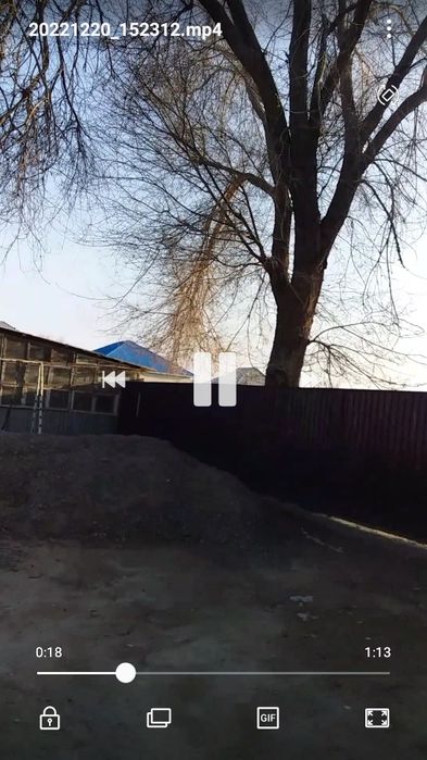 Тал кесіп алып кетесін