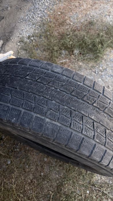 Продаю шины DUNLOP
