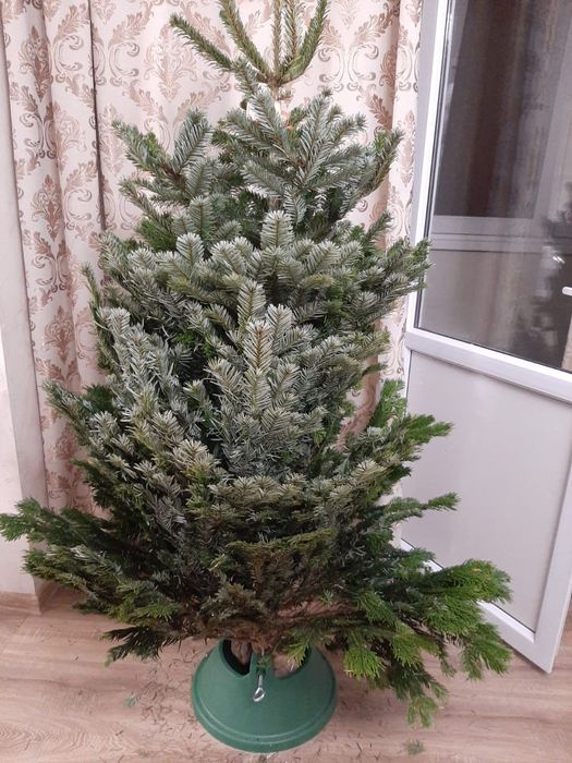 Крепление для живой ёлки (ношки]