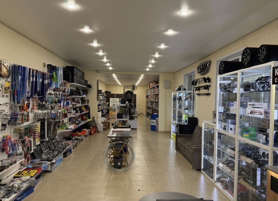 Профессиональный Автоэлектрик