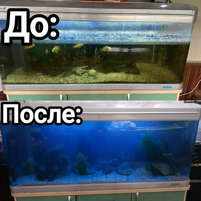 Oбслуживание аквариумов.