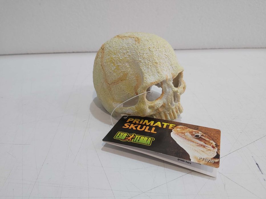 Декорация за терариум