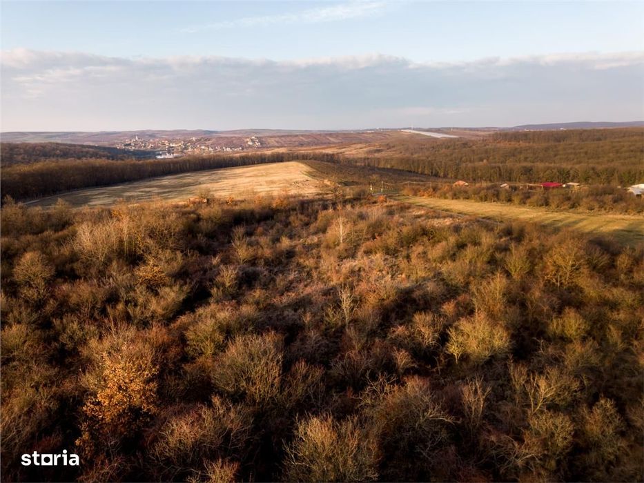 Reco Teren intravilan in Saldabagiu de munte 4333MP