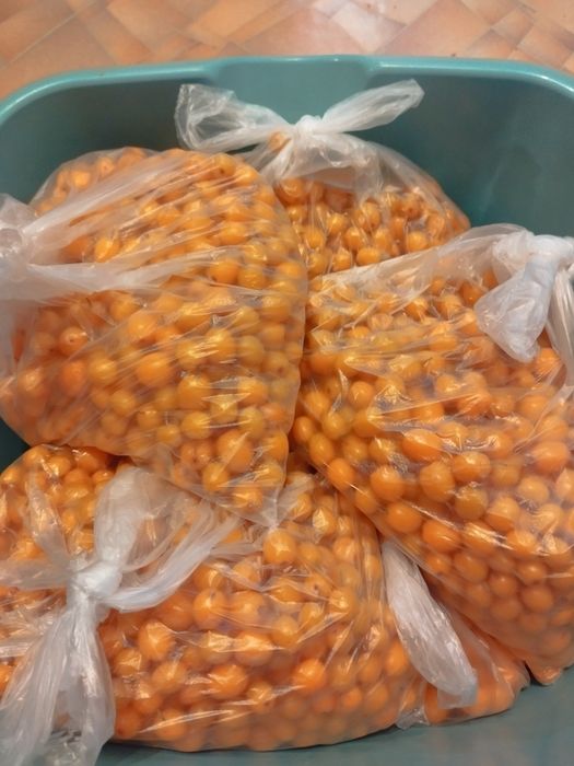 Продам облепиху крупную