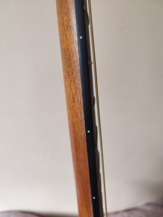 acustik gitara ham elektronniy