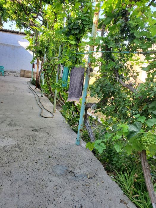 Ховли сотилади 6 сотих