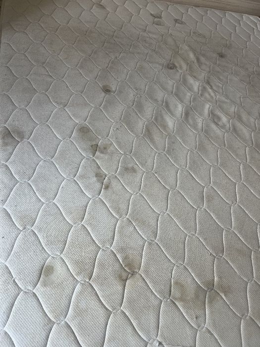 Екстрактно почистване и пране