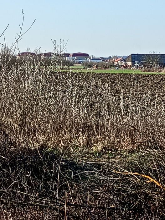 Vind 20 de ari teren