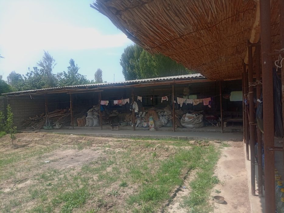 Yangi uy tinch mahala