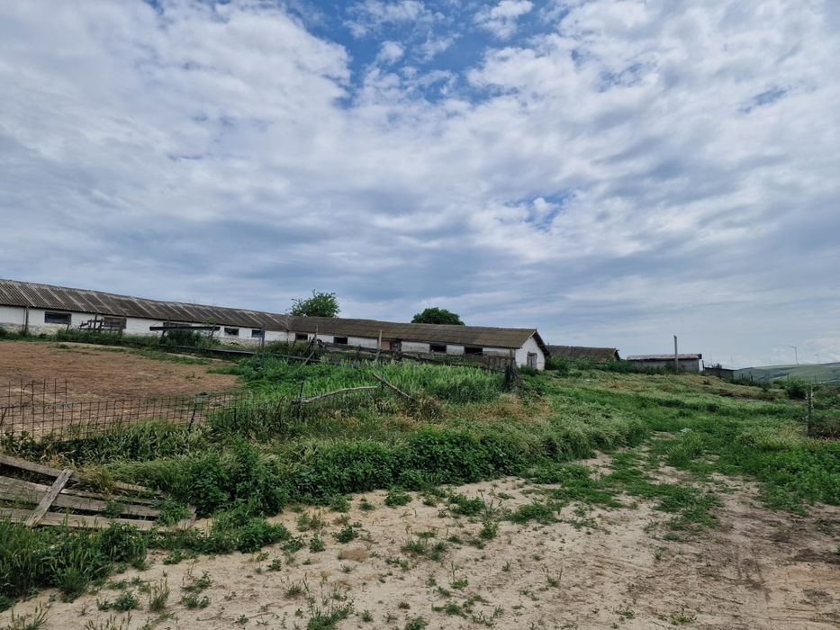 Ferma de vanzare in Cochirleni, Constanta