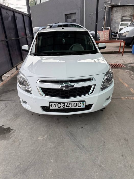 Kobalt.rangi oq.kraskasi tozza.