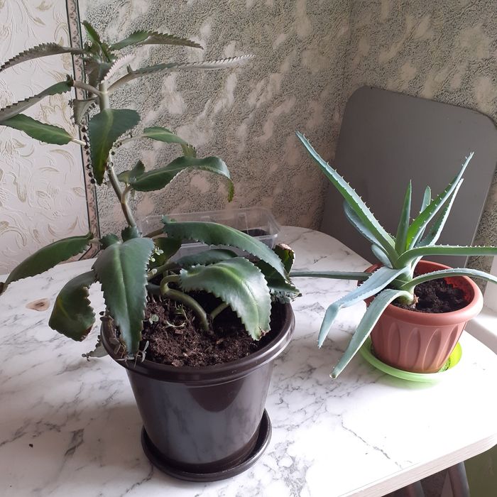 Продаются предметы домашнего обихода,  мебель